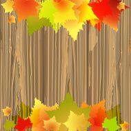 autumn leaves N139