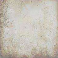 Grunge vector background N84