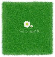 Realistic green grass field background Vector illustration