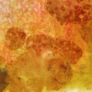 Golden brown and red grunge background N4