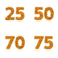 Numbers of autumn leaves collection N2