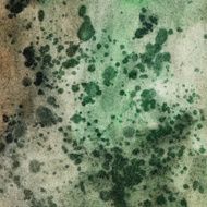 Dark grungy spotted background N7