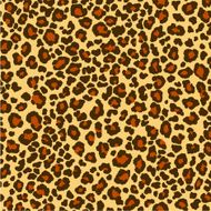 panthera pattern N2