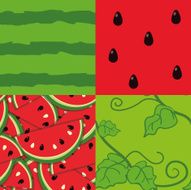 Water melon