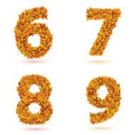 Numbers of autumn leaves collection N3