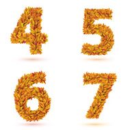 Numbers of autumn leaves collection N4