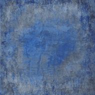 Blue and Grey Bark Texture