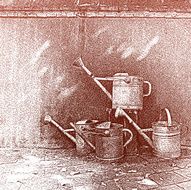 Watering Cans In Tuscany Garden