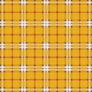 Checked seamless pattern N56
