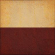Grunge vector background N88
