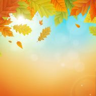 autumn vector background with leafs N2