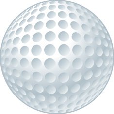Golf Ball N19