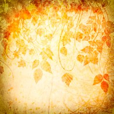 Grunge old paper N4