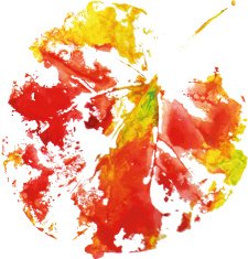 painted watercolors imprint