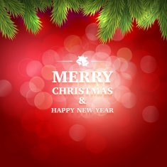 Christmas design N96