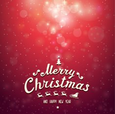 Christmas and New Year's Greeting Card N11