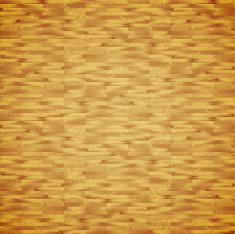 Seamless wood plank N4