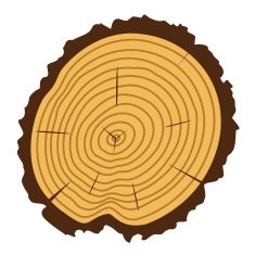 vector wooden cut of a tree log N2