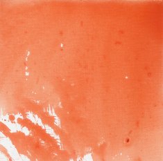 oil paints on canvas N4