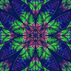 Multicolor symmetric pattern of the leaves Collection - tree foliage N2