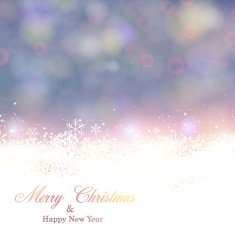 Christmas background with fallen snowflakes N15