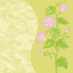 Flowers Ipomoea and abstract pattern