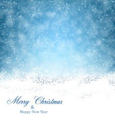 Christmas background with fallen snowflakes N16