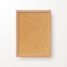 Blank Cork Board - Background N3
