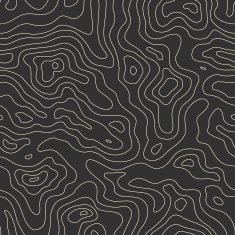 Topographic Map Seamless Pattern Vector Background N2