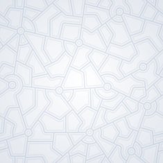 Networking Connections N2