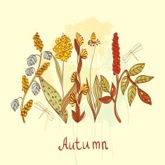 Floral background N1581