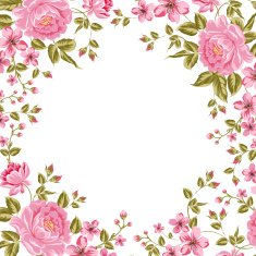 Luxurious color peony background N4