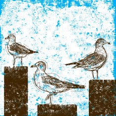 seagulls on pilings N2