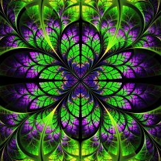 Symmetrical fractal pattern Collection - tree foliage N6