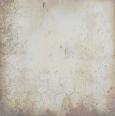 Grunge vector background N84