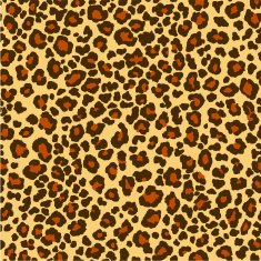 panthera pattern N2