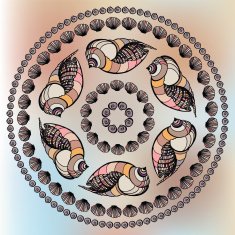 Mandala made of Seashells