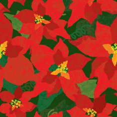 Poinsettia flower seamless pattern