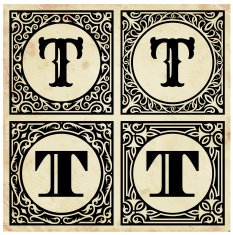 Old Paper with Decorative Letter T N2
