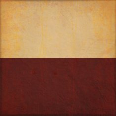 Grunge vector background N88