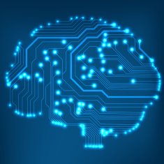 Circuit board computer brain Vector illustration N9