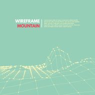 Wireframe mesh polygonal surface N6