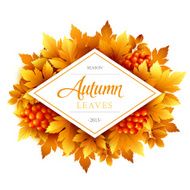 Autumn typographic Fall leaf Vector illustration N24