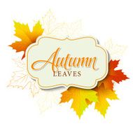 Autumn typographic Fall leaf Vector illustration N25