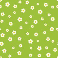 Camomile flower seamless pattern N2
