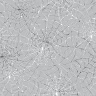spider web texture background N2