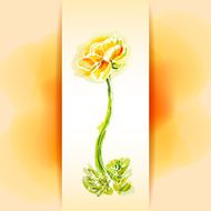 Flower frame background watercolor N5