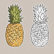 Isolated pineapples