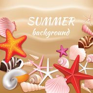 Seashell sand summer background