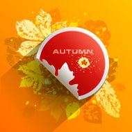 Autumn leaves Abstract vector background N3